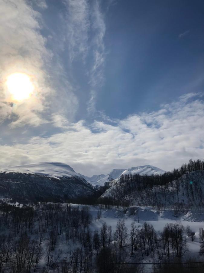 Hundbergan Apartment-Free Parking-15 Min From Tromso Tromsdalen Eksteriør billede